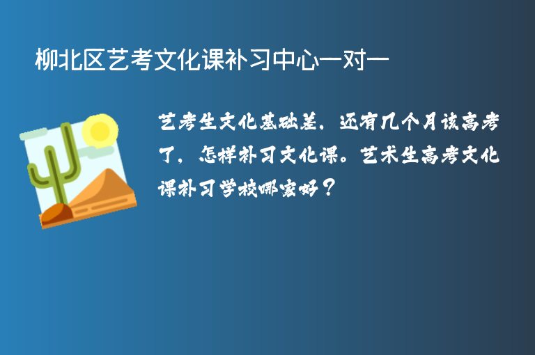 柳北區(qū)藝考文化課補習(xí)中心一對一