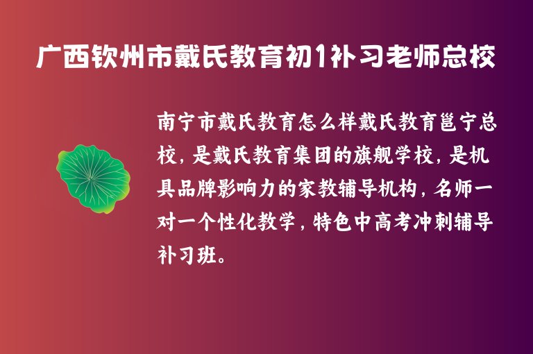 廣西欽州市戴氏教育初1補習老師總校