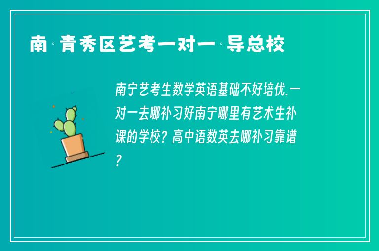 南寧青秀區(qū)藝考一對一輔導總校