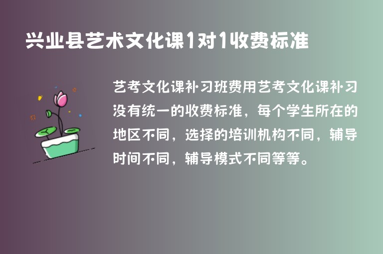 興業(yè)縣藝術(shù)文化課1對1收費標(biāo)準(zhǔn)