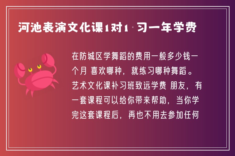 河池表演文化課1對1補習一年學費