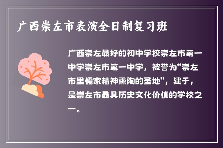 廣西崇左市表演全日制復習班