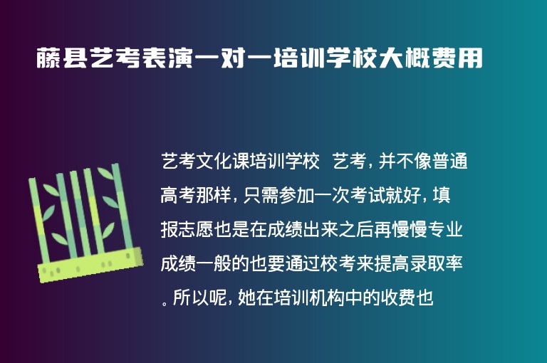 藤縣藝考表演一對一培訓(xùn)學(xué)校大概費(fèi)用