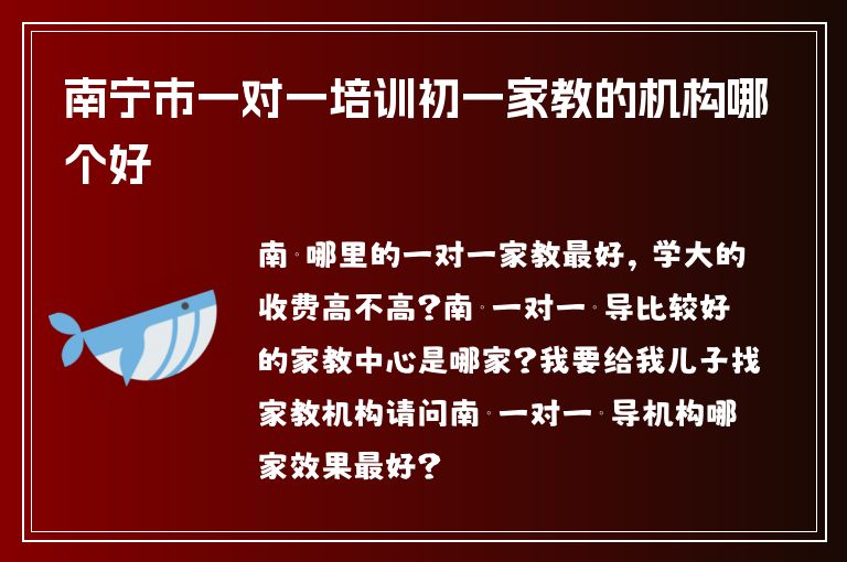 南寧市一對(duì)一培訓(xùn)初一家教的機(jī)構(gòu)哪個(gè)好