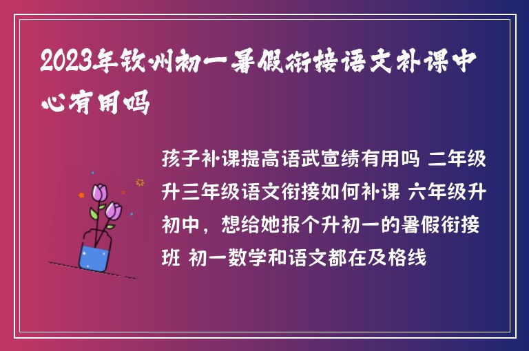 2023年欽州初一暑假銜接語文補(bǔ)課中心有用嗎