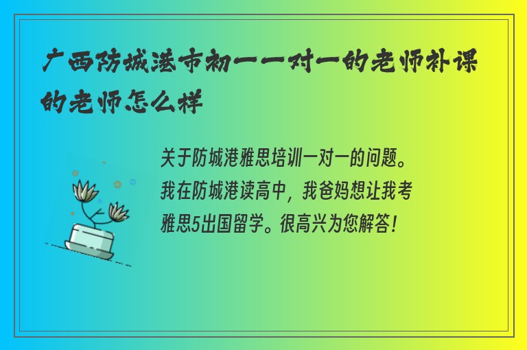 廣西防城港市初一一對一的老師補課的老師怎么樣