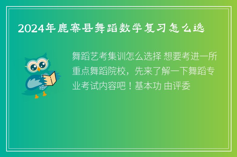 2024年鹿寨縣舞蹈數學復習怎么選