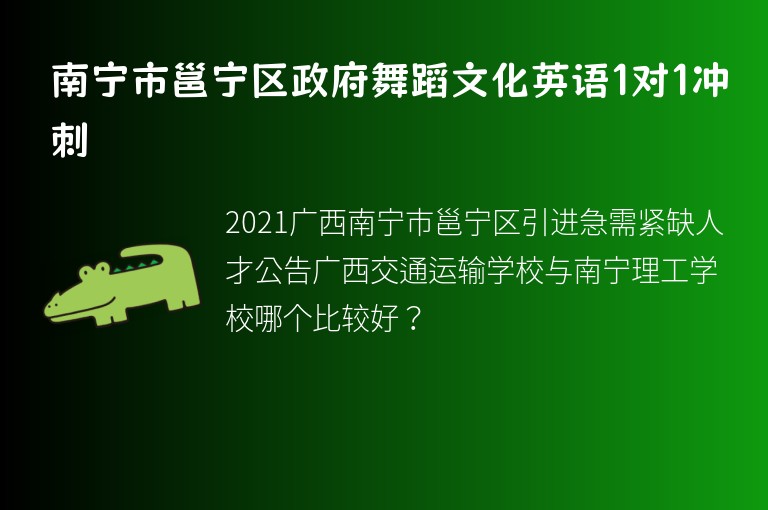 南寧市邕寧區(qū)政府舞蹈文化英語1對1沖刺