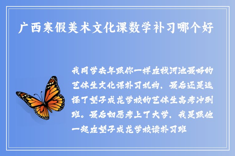 廣西寒假美術(shù)文化課數(shù)學(xué)補(bǔ)習(xí)哪個(gè)好