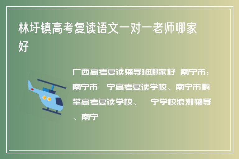 林圩鎮(zhèn)高考復讀語文一對一老師哪家好