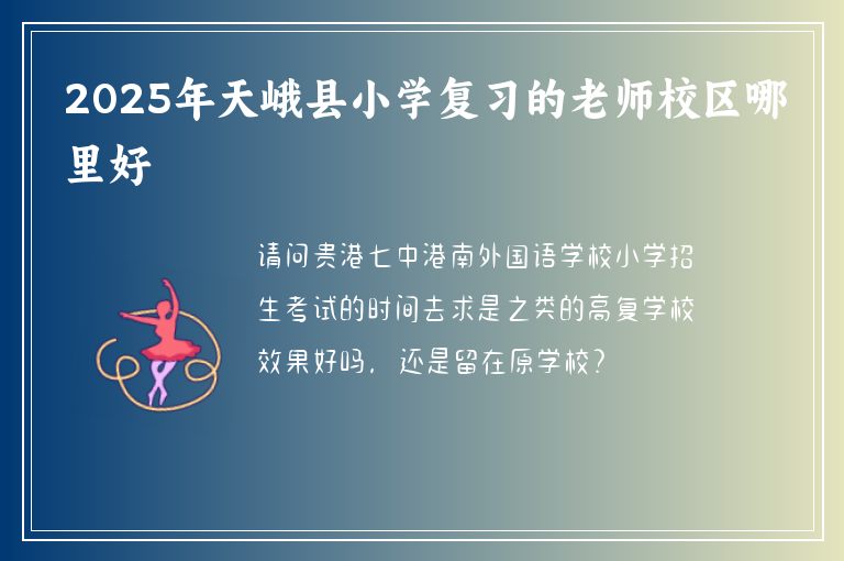 2025年天峨縣小學(xué)復(fù)習(xí)的老師校區(qū)哪里好