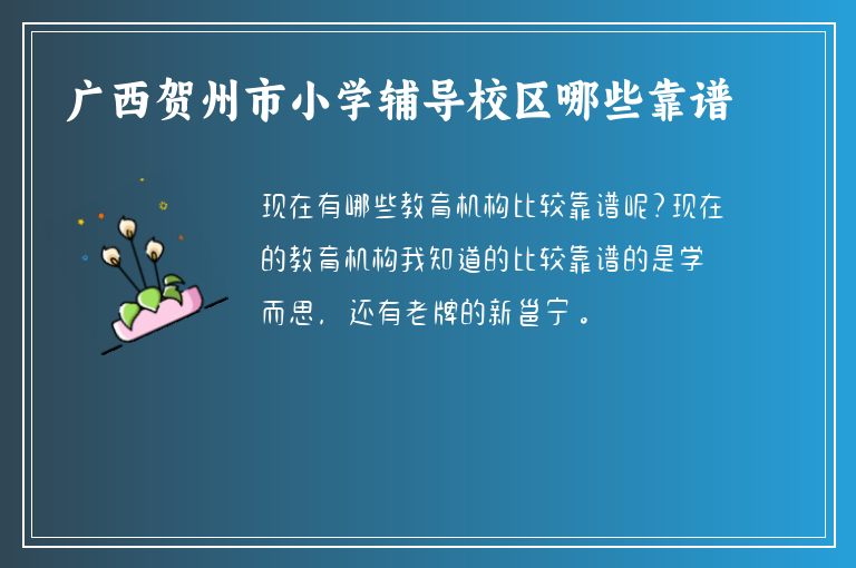 廣西賀州市小學(xué)輔導(dǎo)校區(qū)哪些靠譜