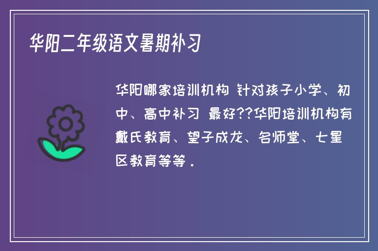 華陽二年級語文暑期補習(xí)