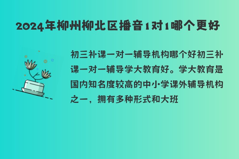 2024年柳州柳北區(qū)播音1對1哪個更好