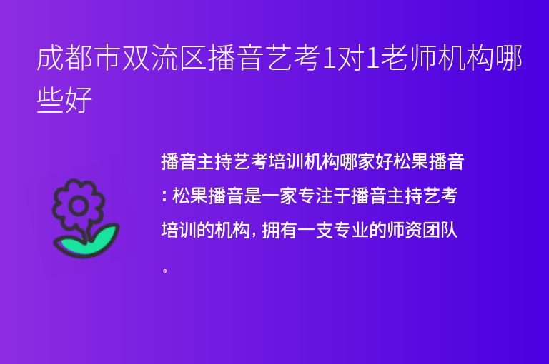 成都市雙流區(qū)播音藝考1對1老師機構(gòu)哪些好