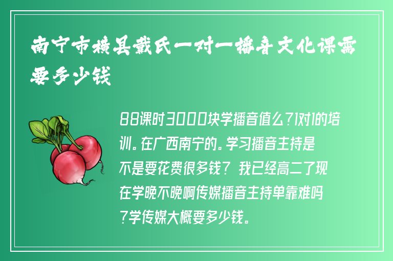 南寧市橫縣戴氏一對一播音文化課需要多少錢