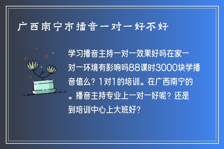 廣西南寧市播音一對一好不好