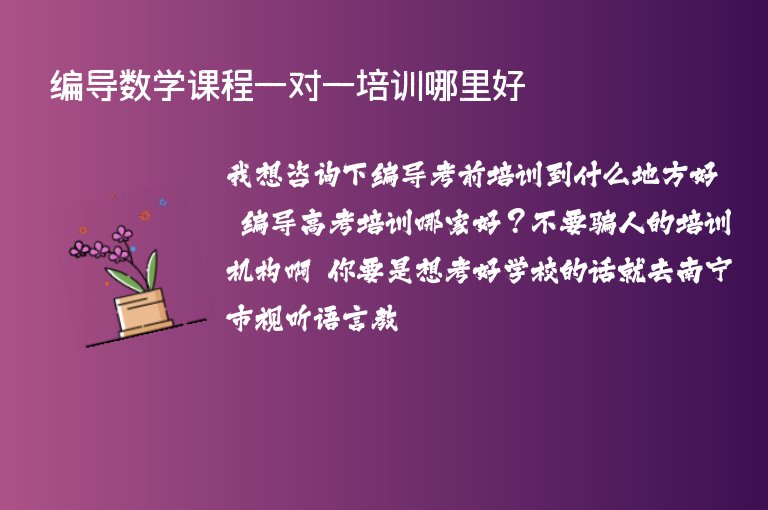 編導(dǎo)數(shù)學(xué)課程一對一培訓(xùn)哪里好