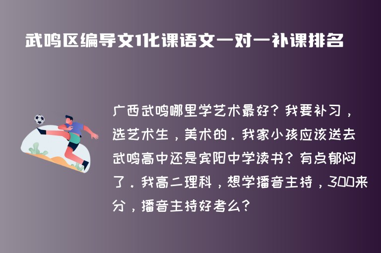 武鳴區(qū)編導(dǎo)文1化課語文一對一補課排名