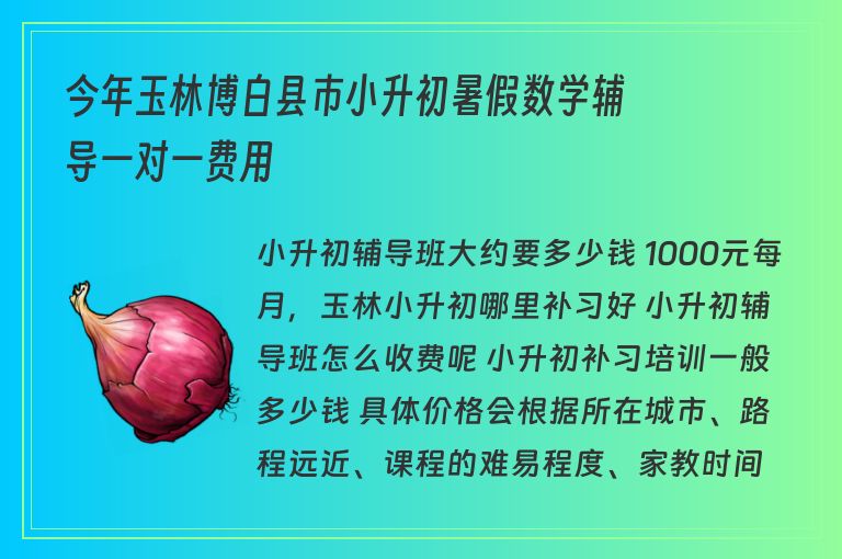 今年玉林博白縣市小升初暑假數(shù)學輔導一對一費用