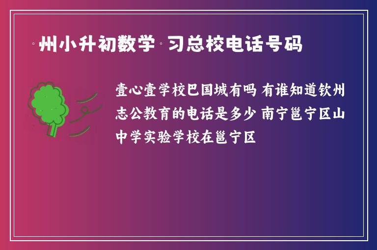 欽州小升初數(shù)學補習總校電話號碼