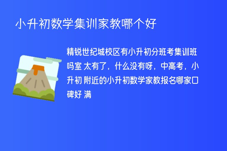 小升初數(shù)學集訓家教哪個好