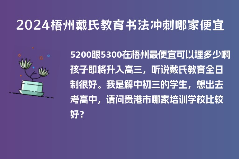 2024梧州戴氏教育書(shū)法沖刺哪家便宜