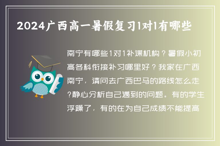 2024廣西高一暑假復習1對1有哪些