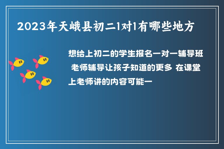 2023年天峨縣初二1對1有哪些地方