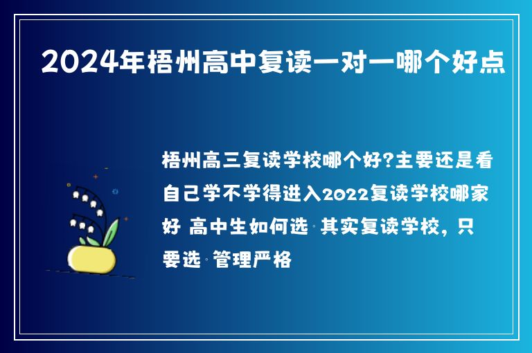 2024年梧州高中復(fù)讀一對一哪個好點