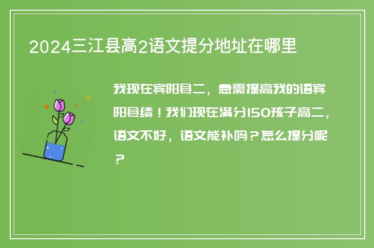 2024三江縣高2語(yǔ)文提分地址在哪里