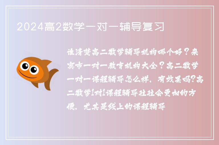 2024高2數(shù)學(xué)一對(duì)一輔導(dǎo)復(fù)習(xí)