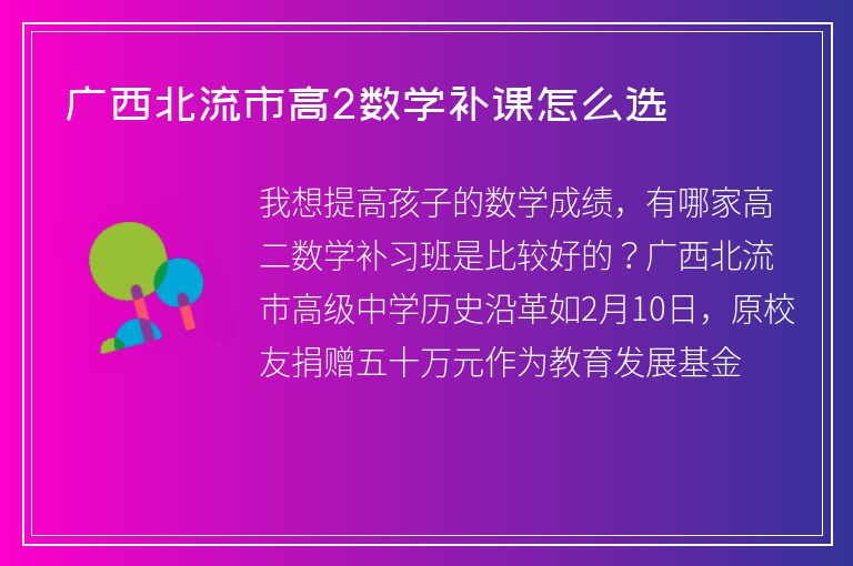 廣西北流市高2數(shù)學(xué)補(bǔ)課怎么選