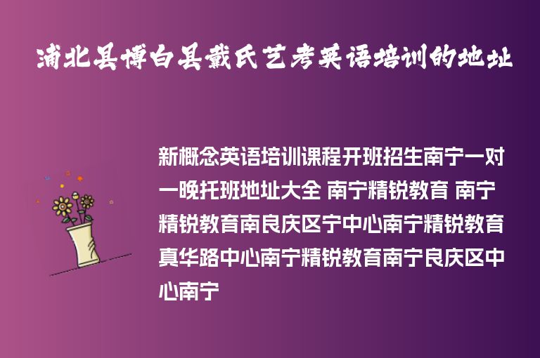 浦北縣博白縣戴氏藝考英語培訓(xùn)的地址