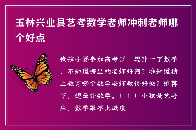 玉林興業(yè)縣藝考數(shù)學老師沖刺老師哪個好點