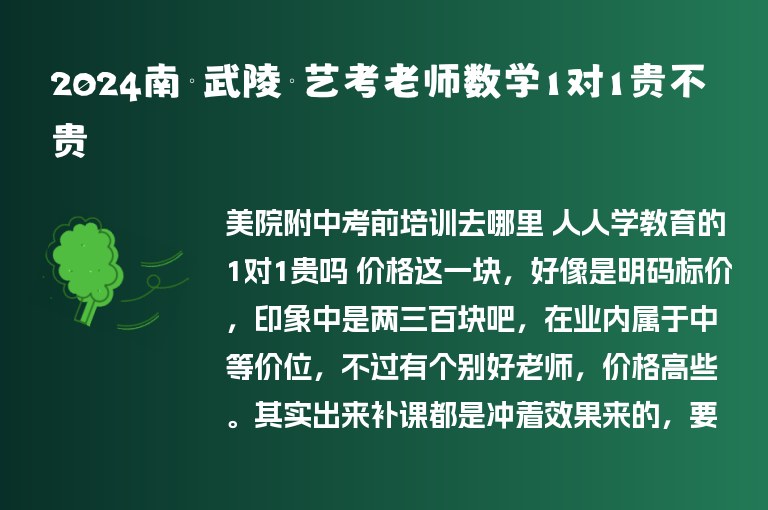 2024南寧武陵鎮(zhèn)藝考老師數(shù)學(xué)1對1貴不貴