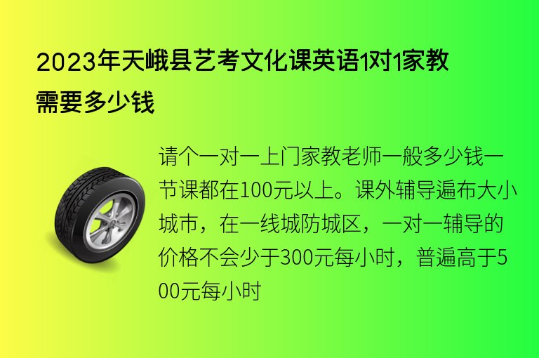 2023年天峨縣藝考文化課英語1對1家教需要多少錢