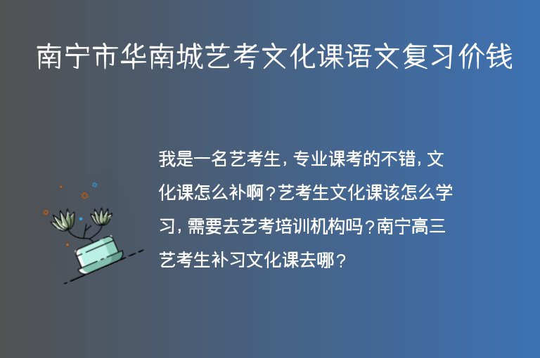 南寧市華南城藝考文化課語文復(fù)習(xí)價錢