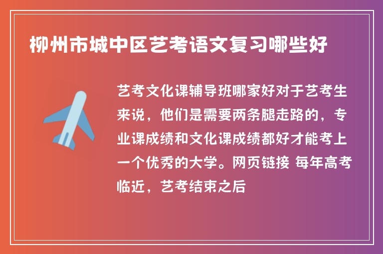 柳州市城中區(qū)藝考語文復(fù)習(xí)哪些好