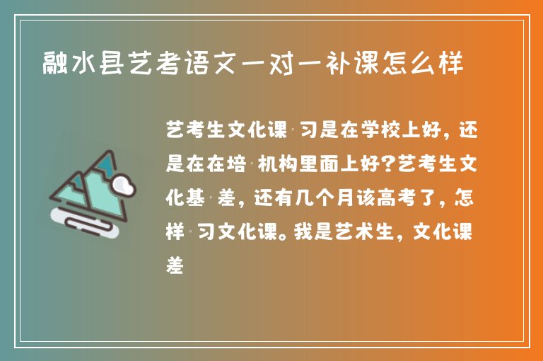 融水縣藝考語文一對一補課怎么樣