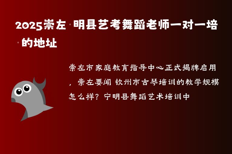 2025崇左寧明縣藝考舞蹈老師一對一培訓(xùn)的地址