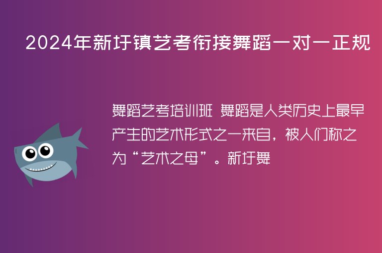 2024年新圩鎮(zhèn)藝考銜接舞蹈一對一正規(guī)