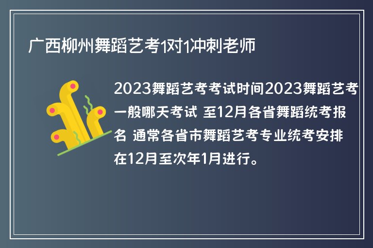 廣西柳州舞蹈藝考1對(duì)1沖刺老師