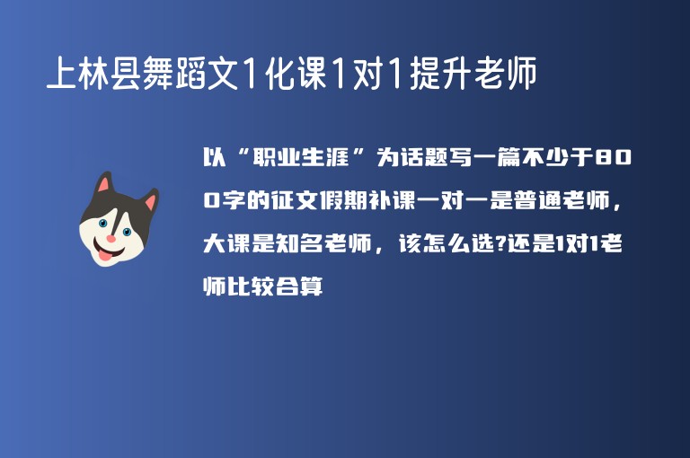 上林縣舞蹈文1化課1對(duì)1提升老師