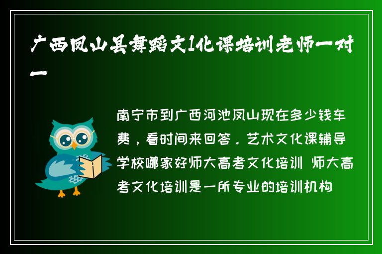 廣西鳳山縣舞蹈文1化課培訓(xùn)老師一對一