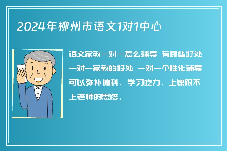 2024年柳州市語文1對1中心