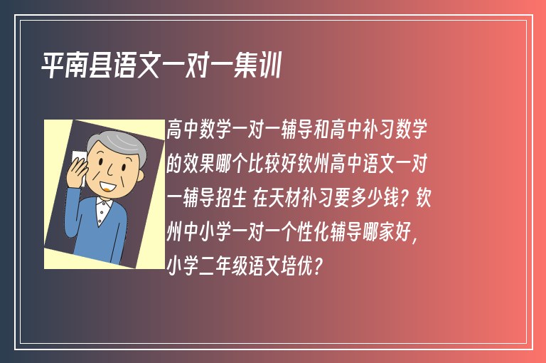 平南縣語文一對一集訓