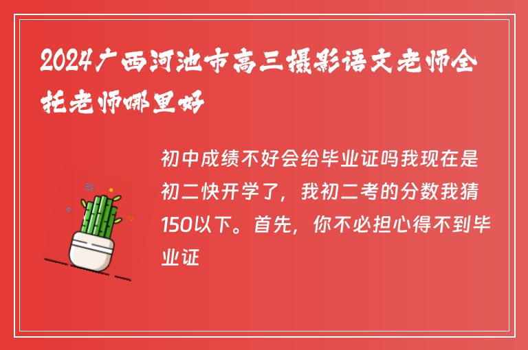 2024廣西河池市高三攝影語文老師全托老師哪里好