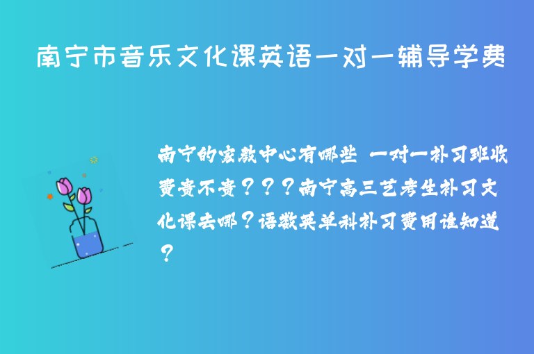 南寧市音樂(lè)文化課英語(yǔ)一對(duì)一輔導(dǎo)學(xué)費(fèi)