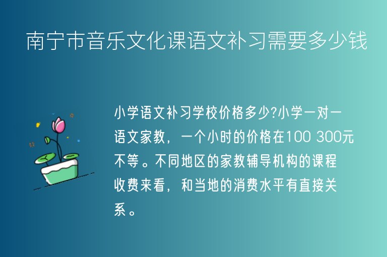 南寧市音樂文化課語文補習需要多少錢